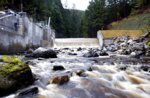 Water flows at the Youngs Creek Hydro Project